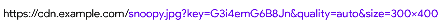 URL CDN ของรูปภาพซึ่งมีพารามิเตอร์ size=300x400 และ quality=auto